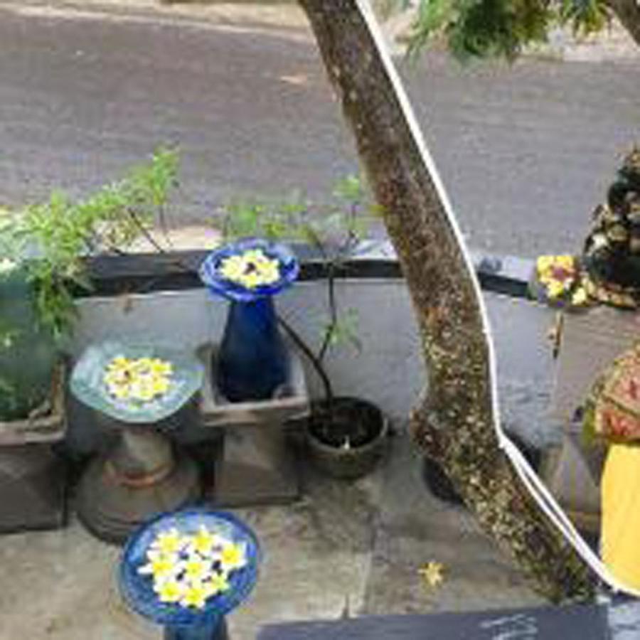 Bulan Bali Guest House Ubud  Luaran gambar